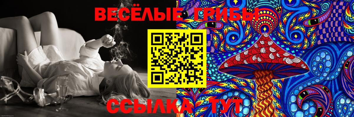 Галлюциногенные грибы MAGIC MUSHROOMS  Вход с VPN  продажа наркотиков  Унеча 